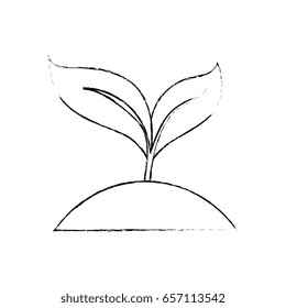 plant with leaves