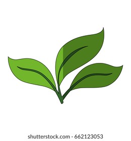 Plant with leaves