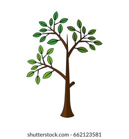 Plant with leaves