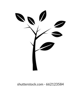 Plant with leaves