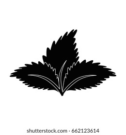 Plant with leaves