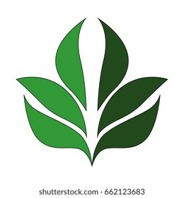 Plant with leaves
