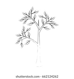 Plant with leaves
