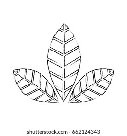 Plant with leaves