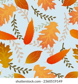 
plant leaves, autumn background. blue background. orange leaves