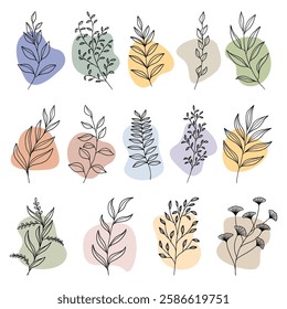  plant and leaves with boho abstract shape