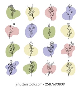 plant and leaves with boho abstract shape
