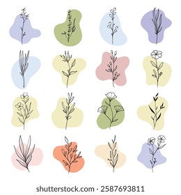 plant and leaves with boho abstract shape