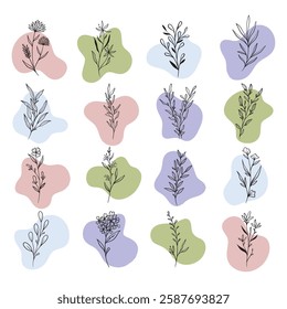 plant and leaves with boho abstract shape