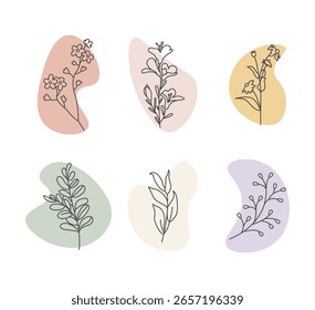 plant and leaves with boho abstract shape. Set of flower boho abstract shape with leaves ornaments