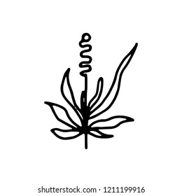 plant with leaves botanical icon. isolated.