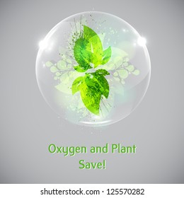 Plant and leaves in a bubble