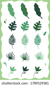 Plant leaves collection, tropical leaves set
