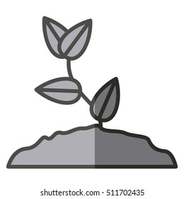 Plant with leaves design