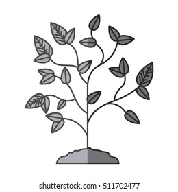 Plant with leaves design