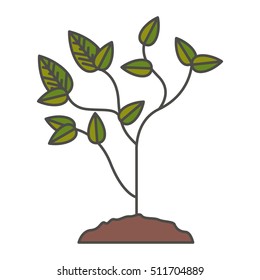Plant with leaves design
