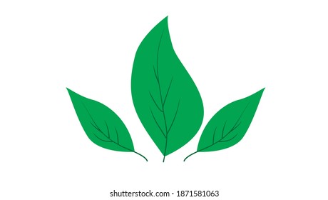 plant leaves with eps format
