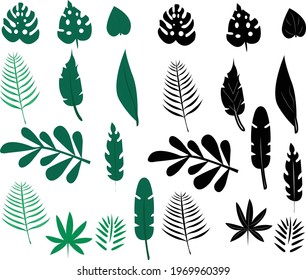 Plant leaves flat vector illustration design, botanical abstract Plant Art design for print, cover, wallpaper, Minimal and natural wall art. Vector illustration.