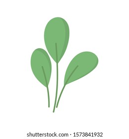 plant leaves foliage nature icon vector illustration