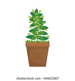 Plant leaves gardening icon vector illustration graphic design