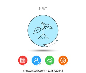 Plant with leaves icon. Agricultural or gardening sign symbol. Calendar, User and Business Chart, Download arrow icons. Speech bubbles with flat signs. Vector