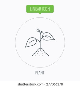 Plant with leaves icon. Agricultural or gardening sign symbol. Linear outline circle button. Vector