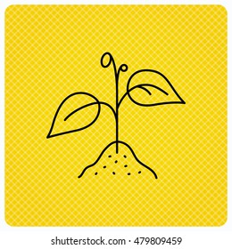 Plant with leaves icon. Agricultural or gardening sign symbol. Linear icon on orange background. Vector