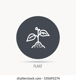 Plant with leaves icon. Agricultural or gardening sign symbol. Round web button with flat icon. Vector