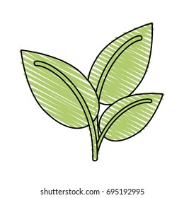 plant leaves icon image