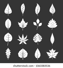 Plant leaves icons set vector white isolated on grey background 