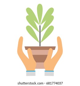plant with leaves inside flowerpot design in the hands