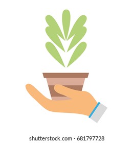 plant with leaves inside flowerpot design in the hand