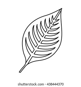 plant leaves isolated icon design