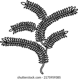 plant leaves line vector illustration isolated on white background