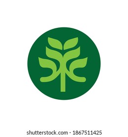 Plant Leaves Modern Logo Design. Plant Logo on White Background Vector Template