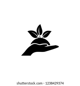 Plant leaves on a hand