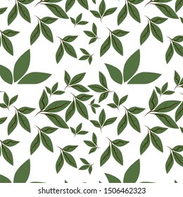 Plant leaves pattern on white background