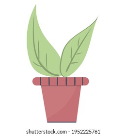 Plant leaves in a pot, beautiful green houseplant isolated vector.