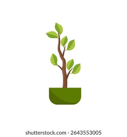 Planta com folhas em um pote em estilo plano. Conceito de jardinagem. Ilustração vetorial