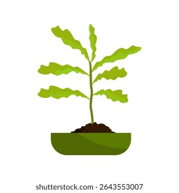 Plant with leaves in a pot in flat style. Gardening concept. Vector illustration