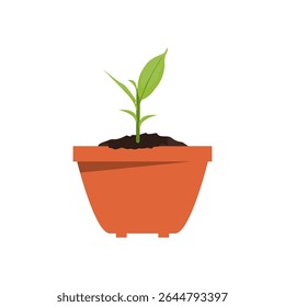 Plant with leaves in a pot in a flat style. Gardening concept. Vector illustration