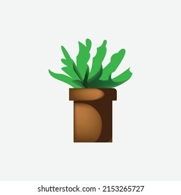 plant with leaves in pot. Gardening concept.