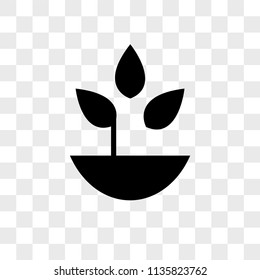 Plant with leaves in a pot vector icon on transparent background, Plant with leaves in a pot icon