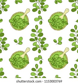 Plant. Leaves, powder, spoon. Sketch. Background, wallpaper, seamless.