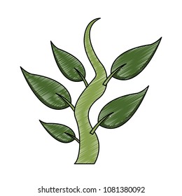 Plant with leaves scribble