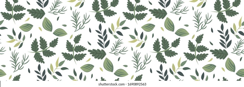 Plant leaves seamless pattern on white background. Botanical motifs in a refined muted and light shades of green. Vector illustration. Perfect for Wallpaper, wrapping paper, fabrics, covers..
