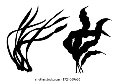 Plant, leaves, seaweed black silhouettes set. Isolated on white background hand drawn