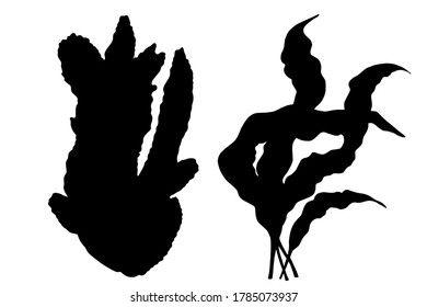 Plant, leaves, seaweed black silhouettes set. Isolated on white background hand drawn