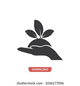 Plant leaves vector icon