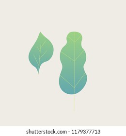 plant, leaves, vector illustration flat design can be use as background template, isolated on soft pastel color